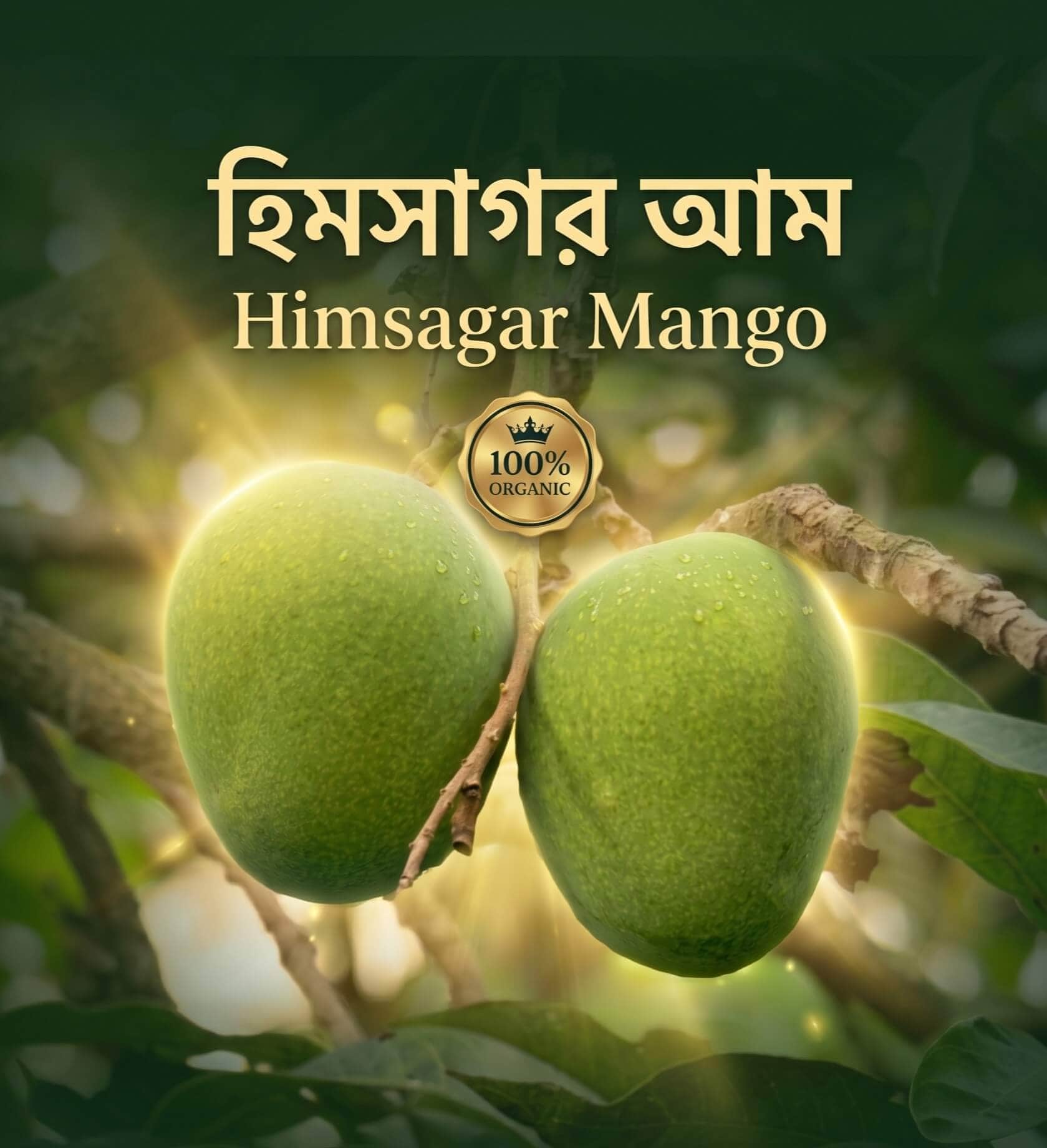 হিমসাগর আম (Export Quality)